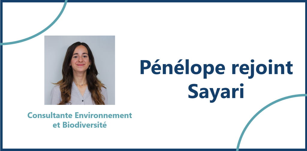 penelope_rejoint_sayari-1024x504